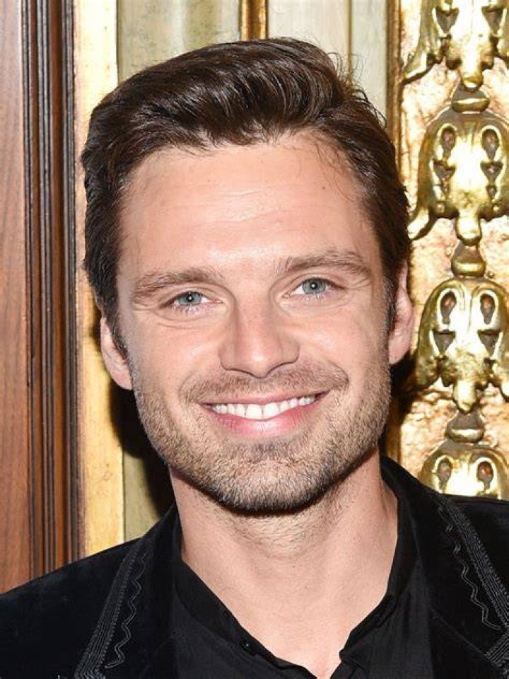 Sebastian Stan Cancelled on Twitter, Why is The Actor in Trouble